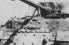 panzerjager tiger elefant 22